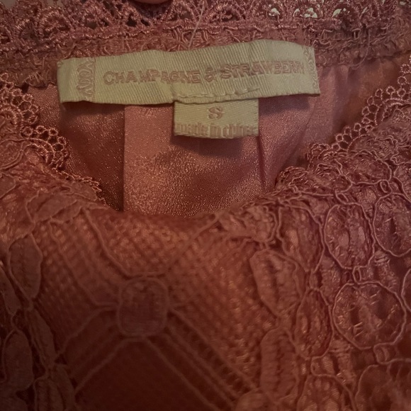 Anthropologie Champagne & Strawberries Lace Corset Vintage style Dress - Picture 6 of 9